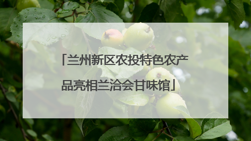 兰州新区农投特色农产品亮相兰洽会甘味馆