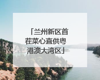 兰州新区首茬菜心直供粤港澳大湾区
