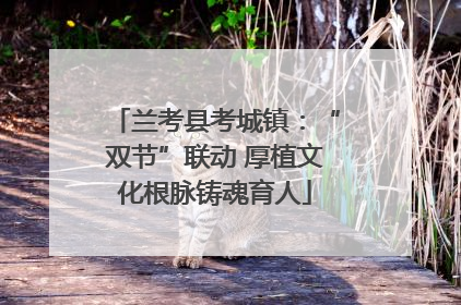 兰考县考城镇：“双节”联动 厚植文化根脉铸魂育人