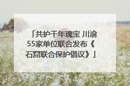 共护千年瑰宝 川渝55家单位联合发布《石窟联合保护倡议》