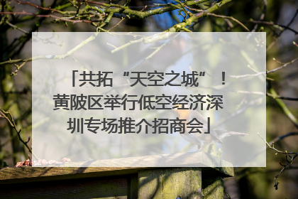 共拓“天空之城”！黄陂区举行低空经济深圳专场推介招商会