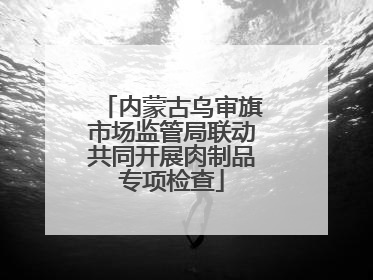 内蒙古乌审旗市场监管局联动共同开展肉制品专项检查