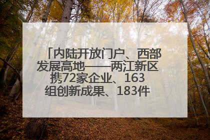 内陆开放门户、西部发展高地——两江新区携72家企业、163组创新成果、183件特色产品亮相西洽会