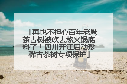 再也不担心百年老鹰茶古树被砍去熬火锅底料了！四川开江启动珍稀古茶树专项保护