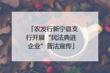 农发行新宁县支行开展“民法典进企业”普法宣传