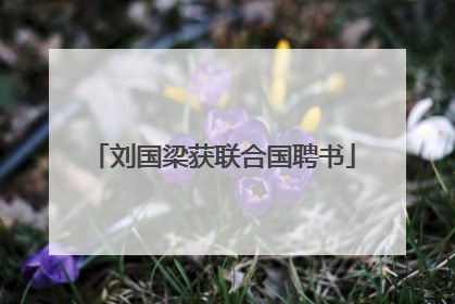刘国梁获联合国聘书