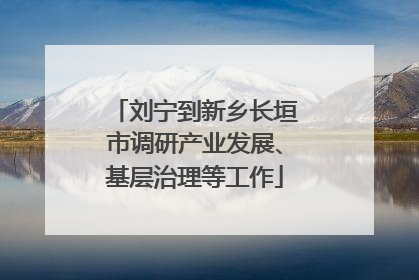 刘宁到新乡长垣市调研产业发展、基层治理等工作