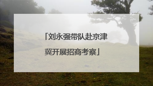 刘永强带队赴京津冀开展招商考察