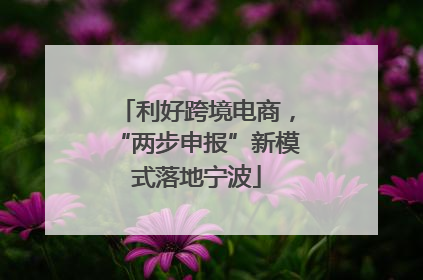 利好跨境电商，“两步申报”新模式落地宁波