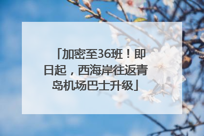 加密至36班！即日起，西海岸往返青岛机场巴士升级