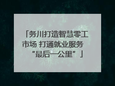 务川打造智慧零工市场 打通就业服务“最后一公里”