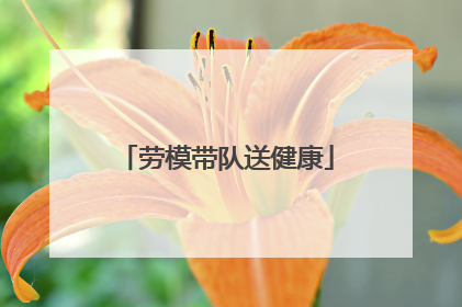 劳模带队送健康