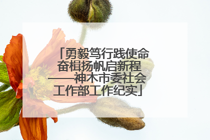 勇毅笃行践使命 奋楫扬帆启新程——神木市委社会工作部工作纪实