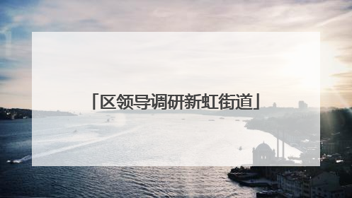 区领导调研新虹街道