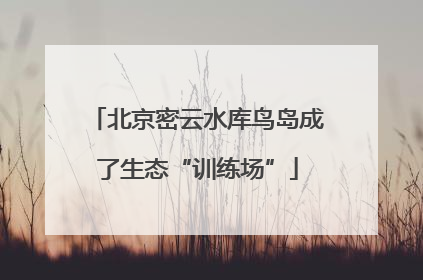 北京密云水库鸟岛成了生态“训练场”