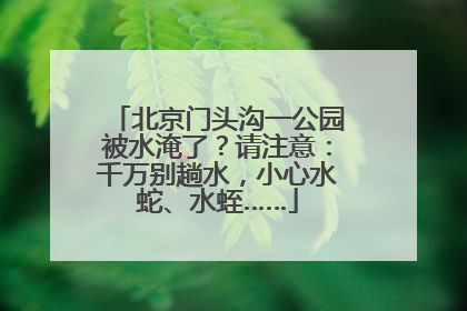 北京门头沟一公园被水淹了？请注意：千万别趟水，小心水蛇、水蛭……