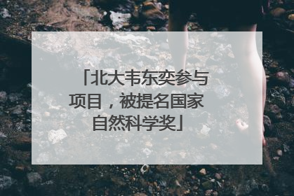 北大韦东奕参与项目，被提名国家自然科学奖