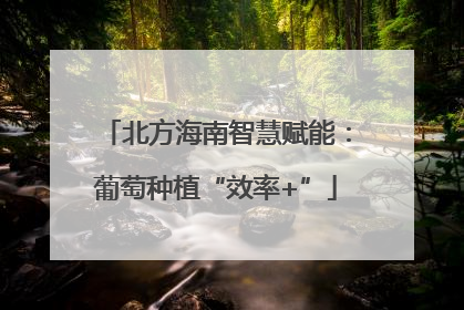 北方海南智慧赋能：葡萄种植“效率+”