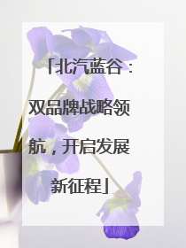 北汽蓝谷：双品牌战略领航，开启发展新征程