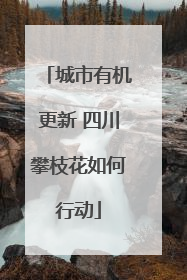 城市有机更新 四川攀枝花如何行动