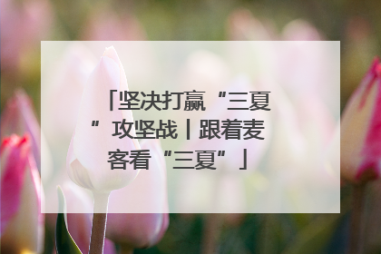 坚决打赢“三夏”攻坚战丨跟着麦客看“三夏”