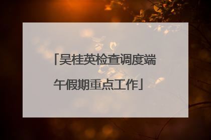 吴桂英检查调度端午假期重点工作