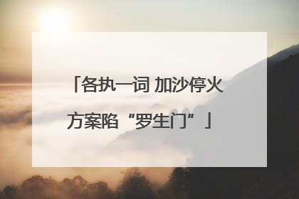 各执一词 加沙停火方案陷“罗生门”
