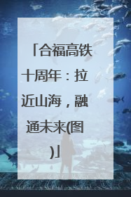 合福高铁十周年：拉近山海，融通未来(图)