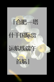 合肥—塔什干国际货运航线端午首航