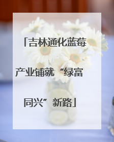 吉林通化蓝莓产业铺就“绿富同兴”新路