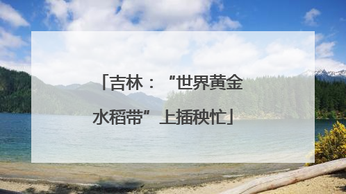 吉林：“世界黄金水稻带”上插秧忙