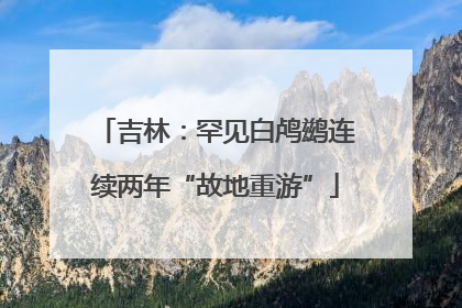 吉林：罕见白鸬鹚连续两年“故地重游”