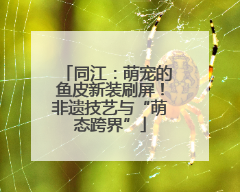 同江：萌宠的鱼皮新装刷屏！非遗技艺与“萌态跨界”