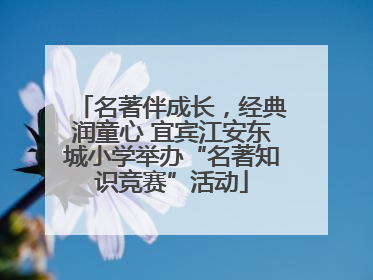 名著伴成长，经典润童心 宜宾江安东城小学举办“名著知识竞赛”活动