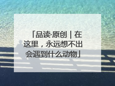 品读·原创｜在这里，永远想不出会遇到什么动物