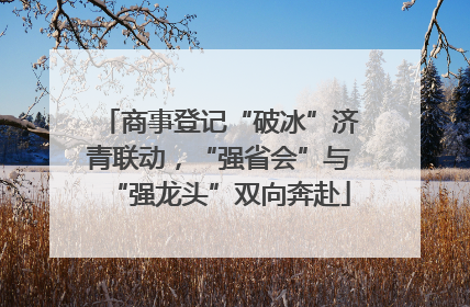 商事登记“破冰”济青联动，“强省会”与“强龙头”双向奔赴