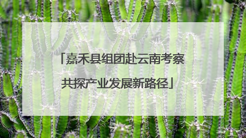 嘉禾县组团赴云南考察 共探产业发展新路径