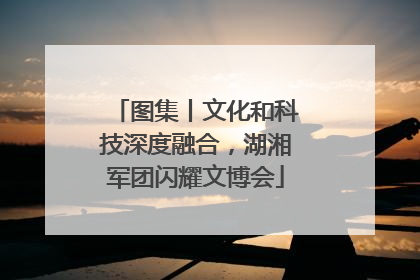 图集丨文化和科技深度融合，湖湘军团闪耀文博会