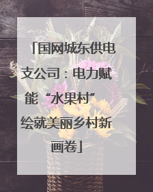 国网城东供电支公司：电力赋能“水果村” 绘就美丽乡村新画卷