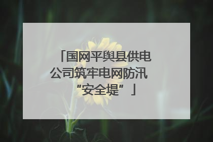 国网平舆县供电公司筑牢电网防汛“安全堤”