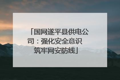 国网遂平县供电公司：强化安全意识 筑牢网安防线