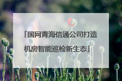 国网青海信通公司打造机房智能巡检新生态