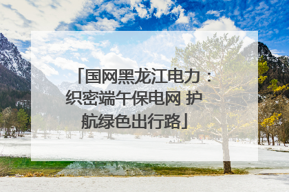 国网黑龙江电力：织密端午保电网 护航绿色出行路