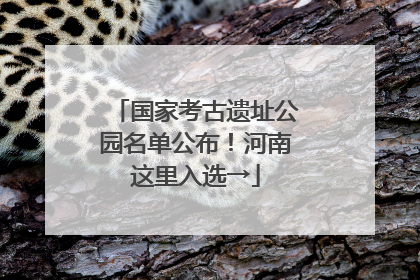 国家考古遗址公园名单公布！河南这里入选→