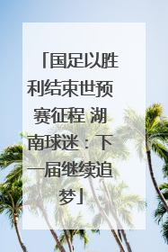 国足以胜利结束世预赛征程 湖南球迷：下一届继续追梦