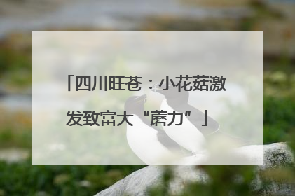 四川旺苍：小花菇激发致富大“蘑力”