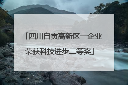 四川自贡高新区一企业荣获科技进步二等奖