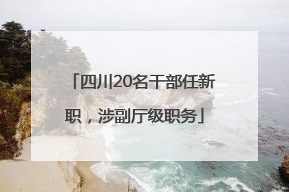 四川20名干部任新职，涉副厅级职务