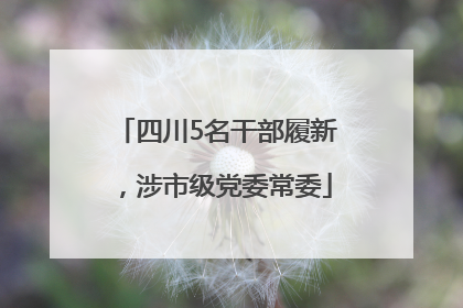 四川5名干部履新，涉市级党委常委