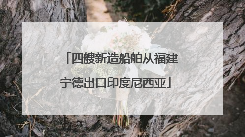 四艘新造船舶从福建宁德出口印度尼西亚